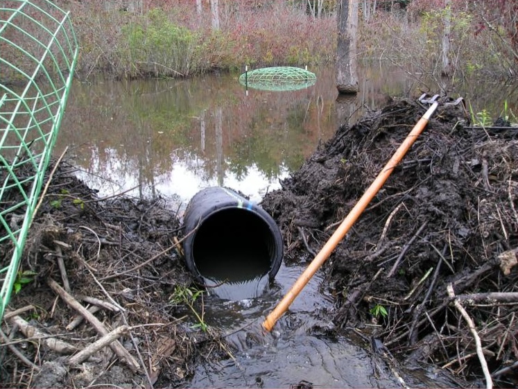 Pond leveler installation